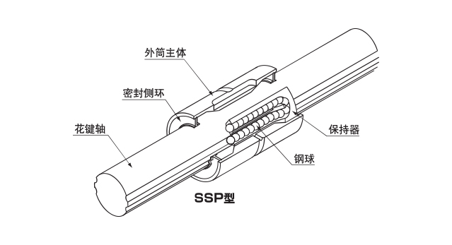 SSP型的结构