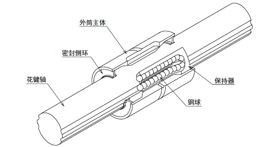 SSP形の構造