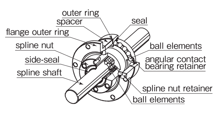 Structure of SPB type