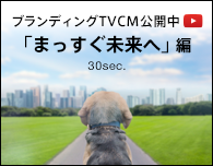 ブランディングTVCM