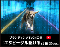 ブランディングTVCM