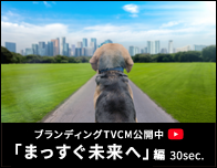 ブランディングTVCM